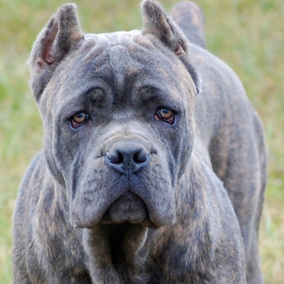 Meet your Posher, Mary - Picture 1 of 1